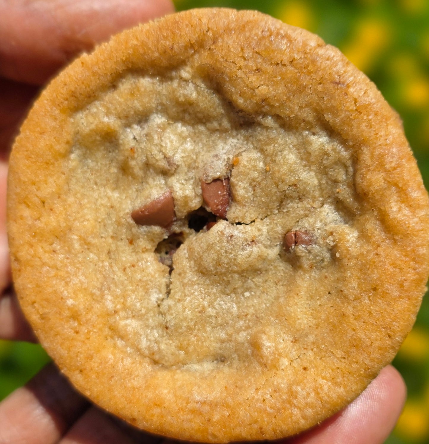 Brown Butta Chocolate Chip
